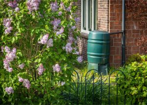 Subsidie op recycling van regenwater